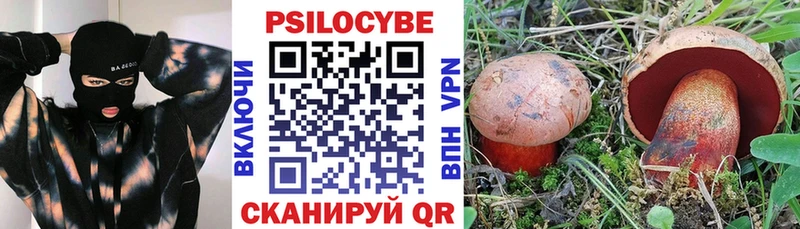 Галлюциногенные грибы Magic Shrooms  наркотики  Суоярви 